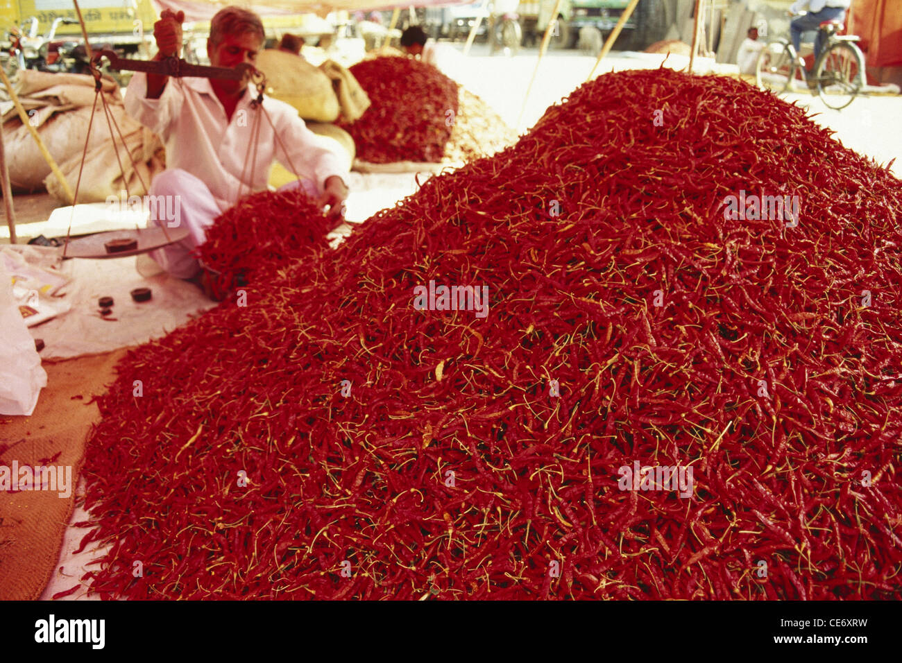 ADC 83672 : indian man weighing dry dried red chilies red chilly red chilli dewas madhya pradesh india Stock Photo