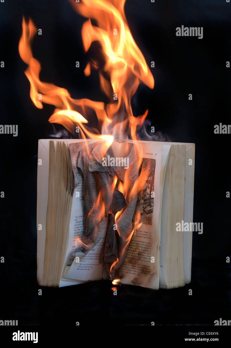 Book on fire
