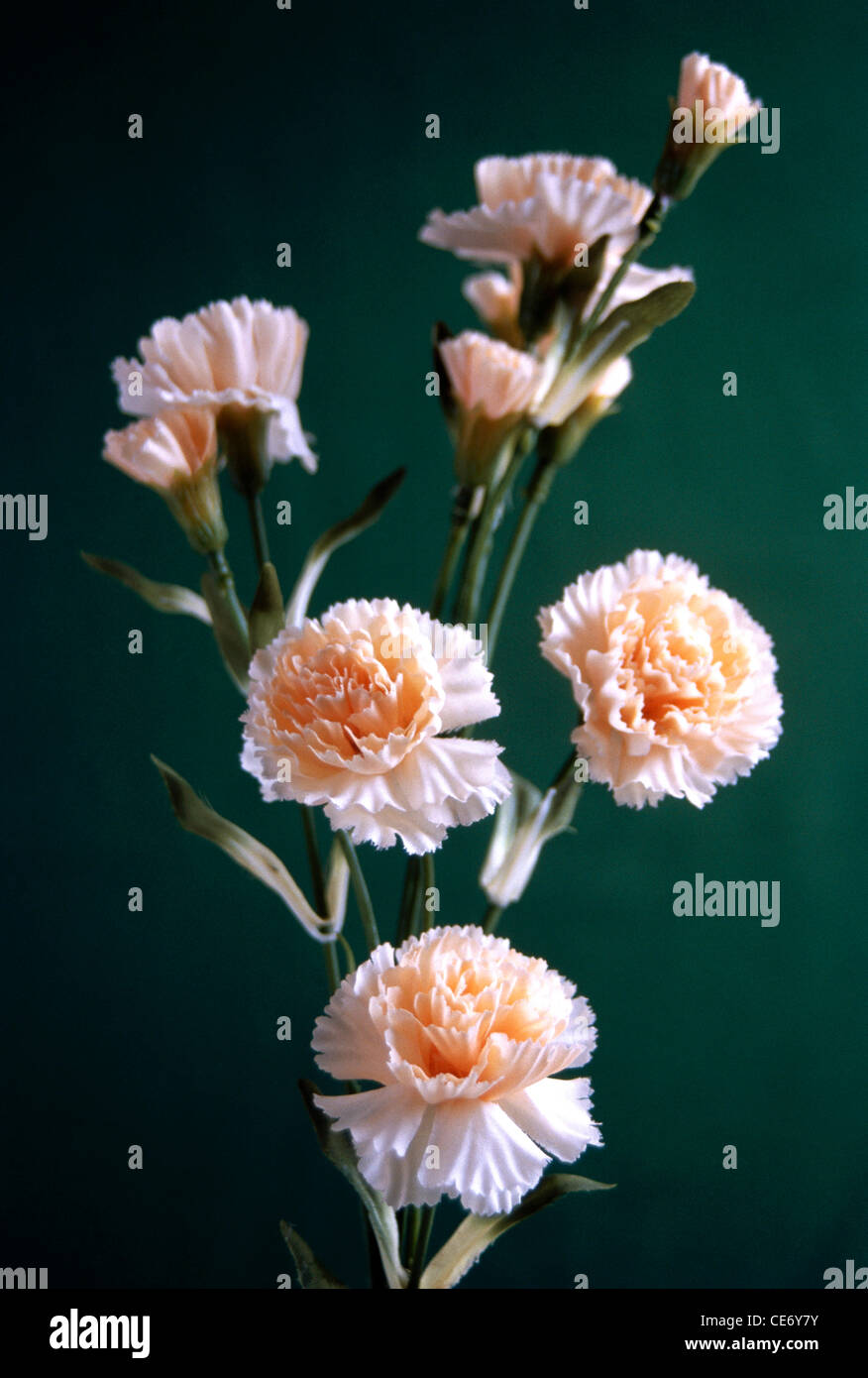 Artificial flowers ; artificial pink carnation flowers arrangement green background Stock Photo