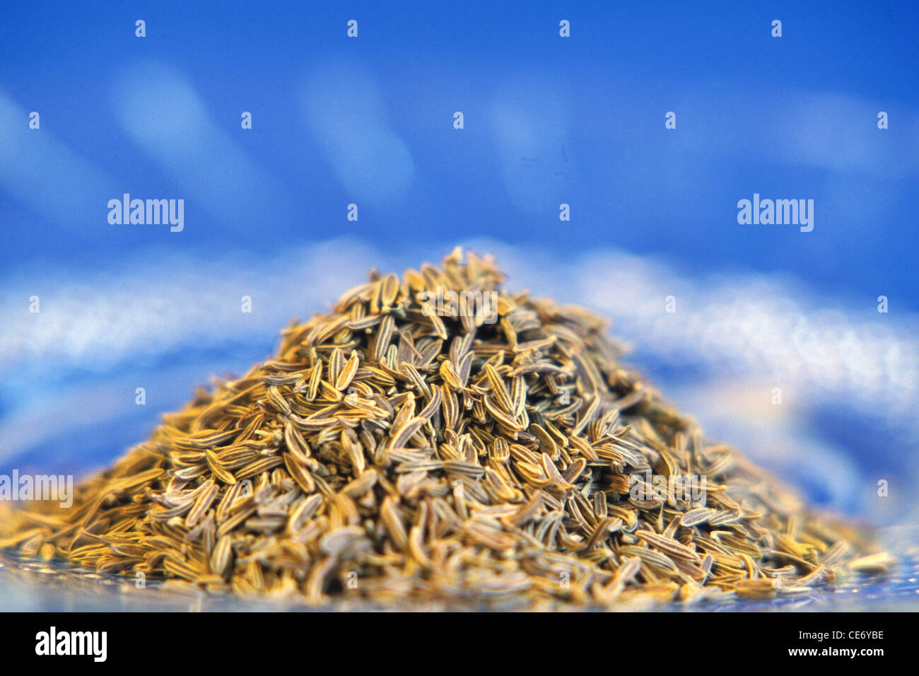 Ajowan seeds ; Ajwain ; Trachyspermum ammi ; ajowan caraway ;