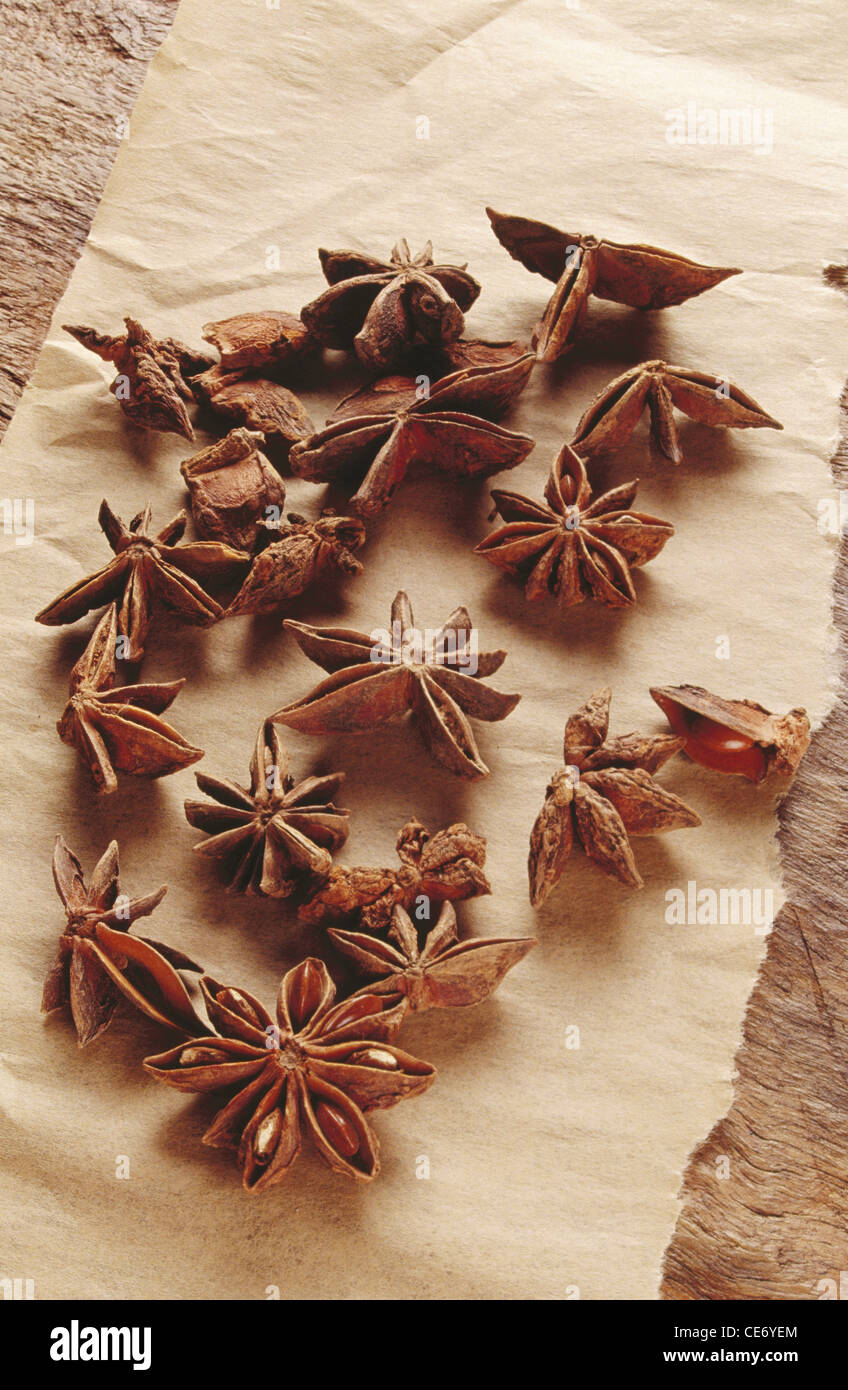 AAD 83722 : indian spices star anise herb illicium verum india Stock Photo