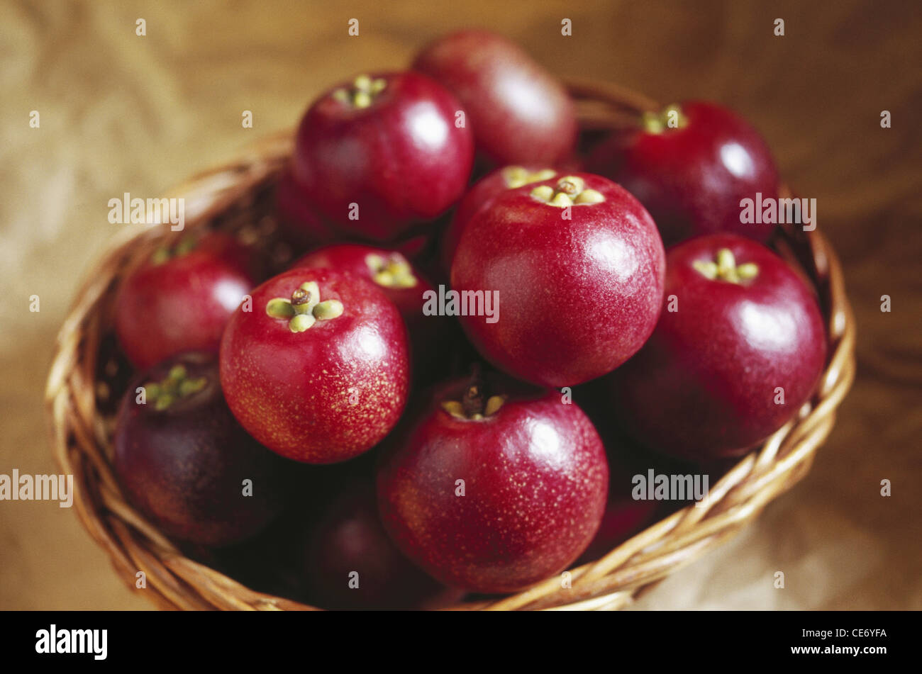 Indian kokum ; kokam fruit in cane basket ; garcinia indica ;  india ; asia Stock Photo