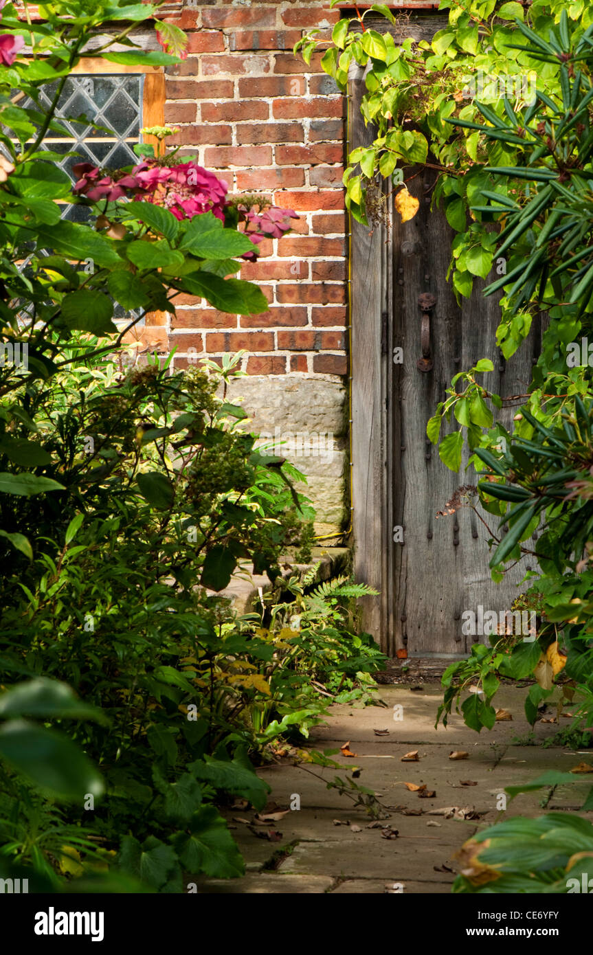An over grown pathway leading to an old wooden door. Stock Photo