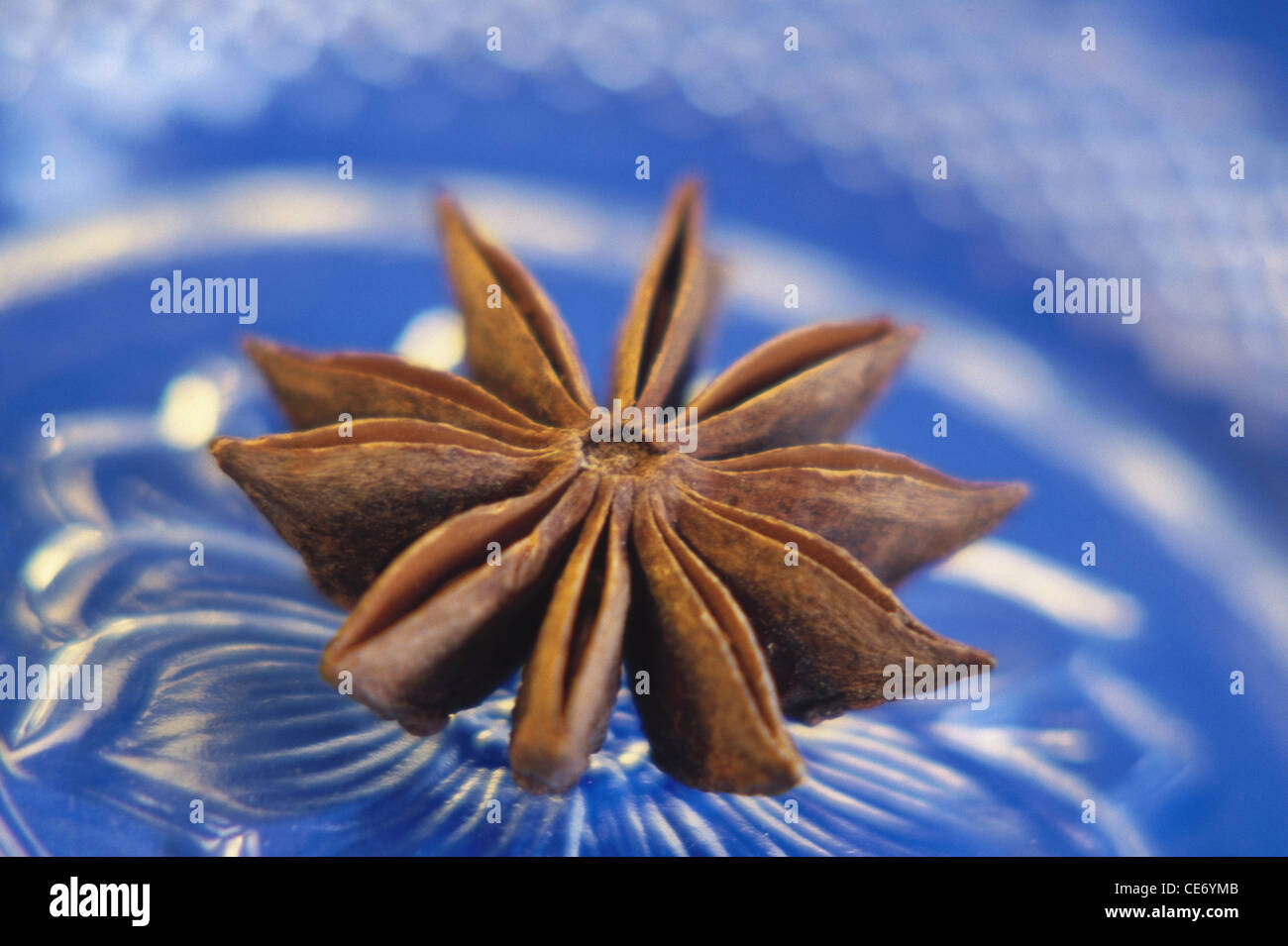 Star anise spice ; star anise ; staranise ; star anise seed ; Chinese star anise ; badian ; illicium verum ; india ; asia Stock Photo