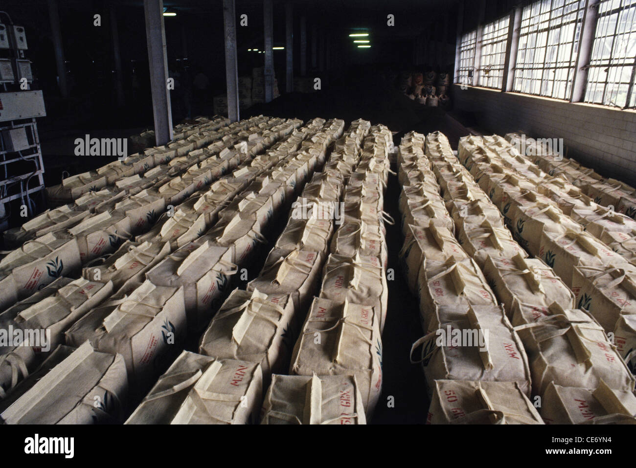 packed tea bags in factory ready for distribution india Stock Photo