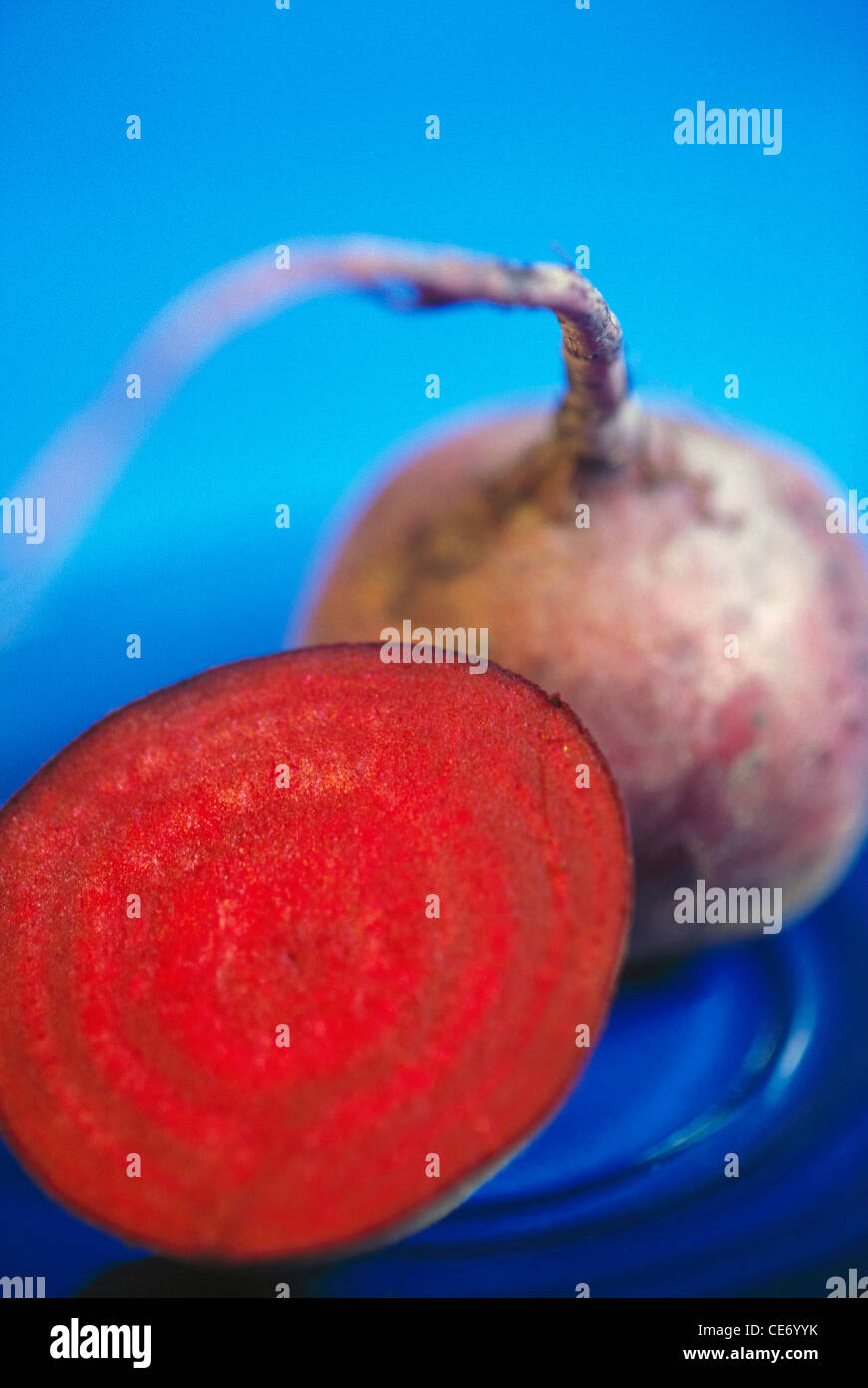 NVM 83821 : Vegetable beet root fleshy root stem on blue background Stock Photo