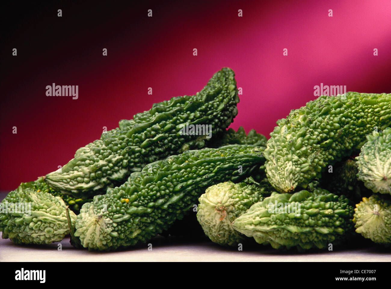 Vegetable bitter gourd ; Momordica charantia ; bitter melon ; bitter apple ; bitter gourd