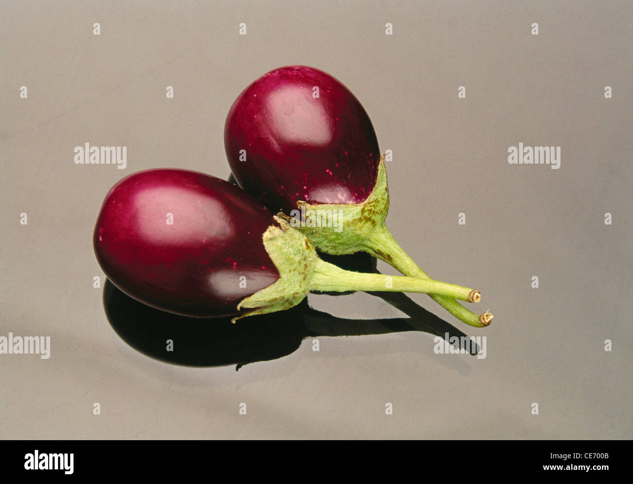 Vegetable two brinjal aubergine eggplant purple grey background ; india
