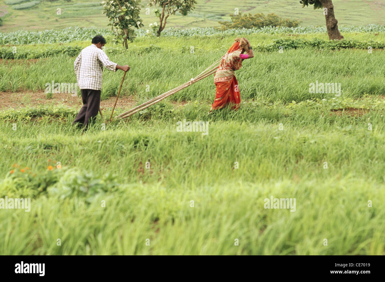 Women Ploughing High Resolution Stock Photography and Images - Alamy