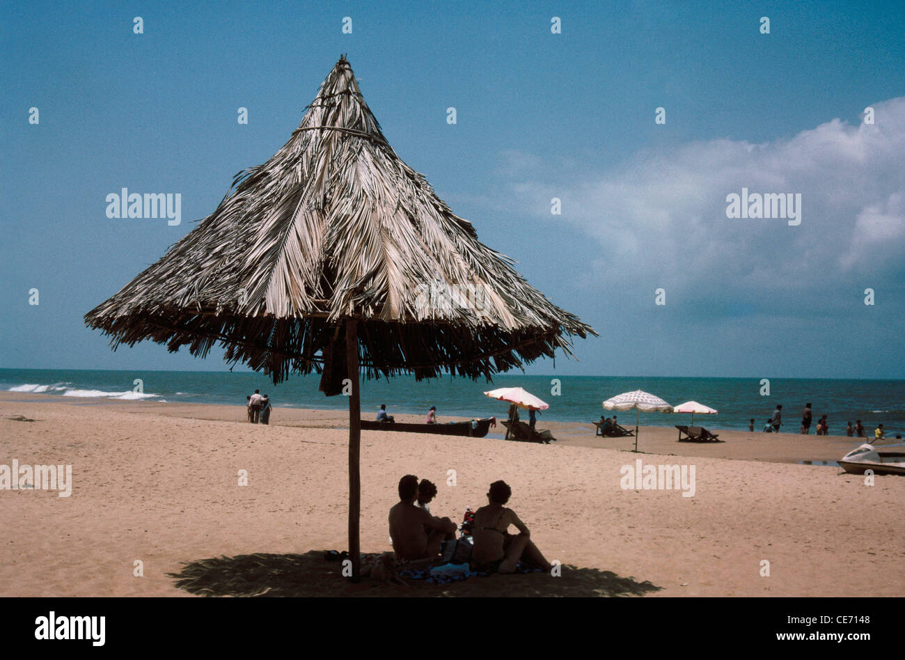 aguada beach palm tree leaf shade goa india Stock Photo