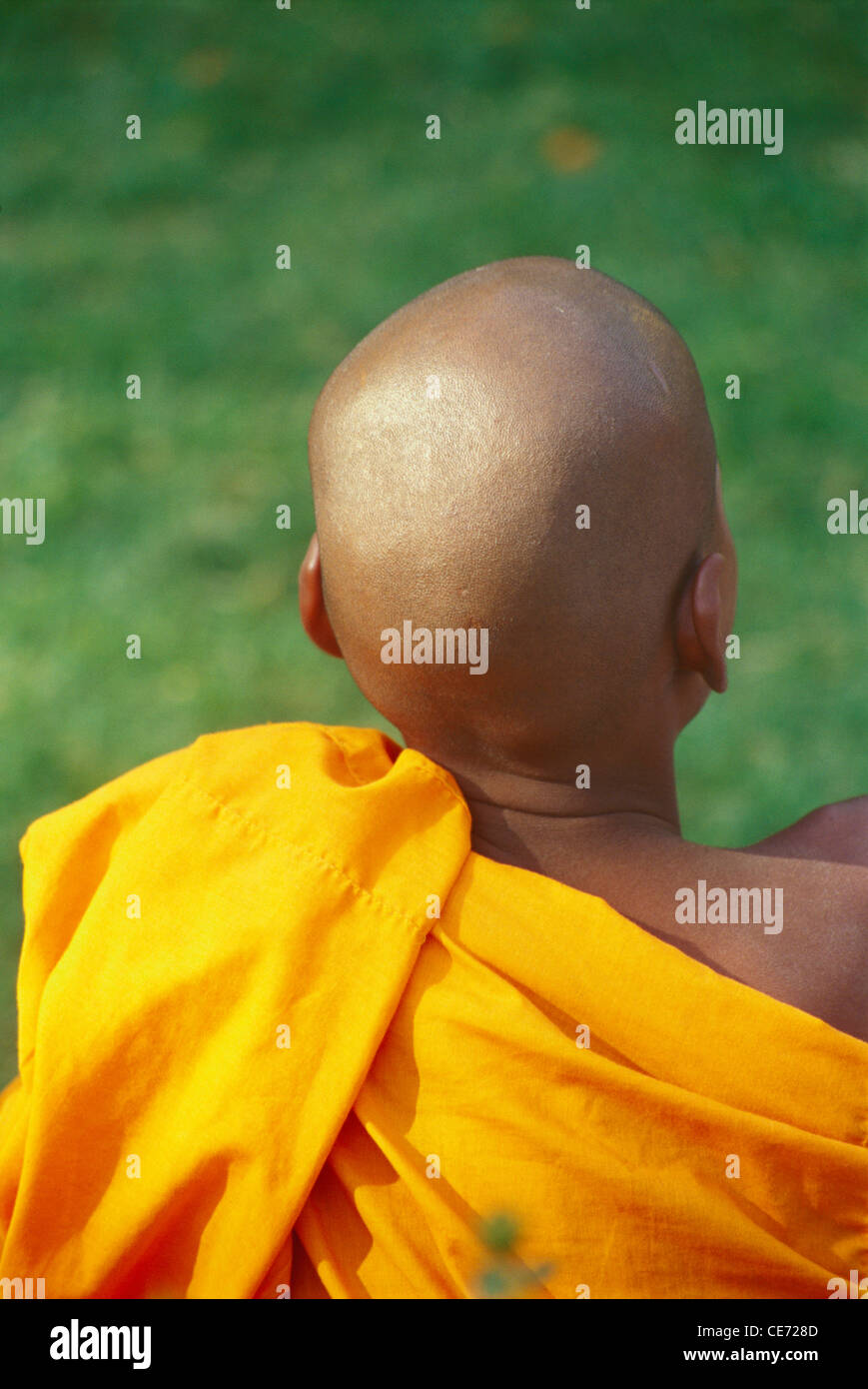 buddhist monk bald head ; bodh gaya ; bihar ; india ; asia Stock Photo