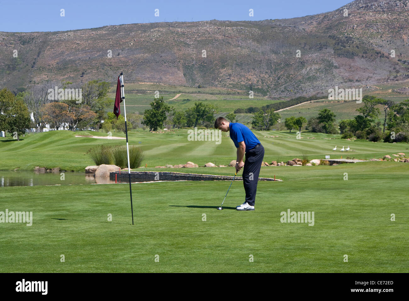 Cape Town: Steenberg Golf Course Stock Photo - Alamy