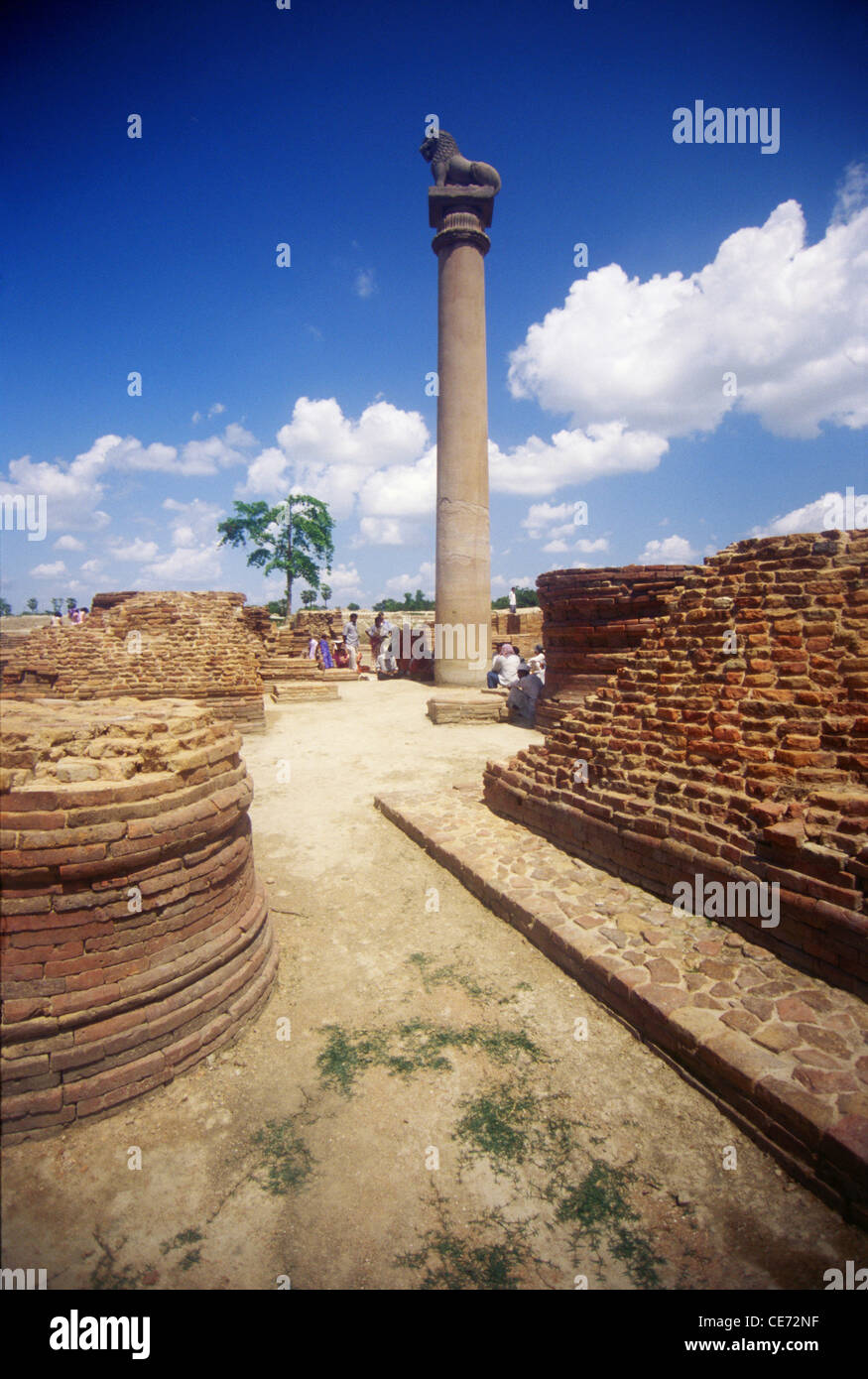 Ashoka Pillar Kolhua Vaishali Bihar India Stock Photo Alamy Ashoka Pillar Kolhua Vaishali Bihar India Stock Photo Alamy