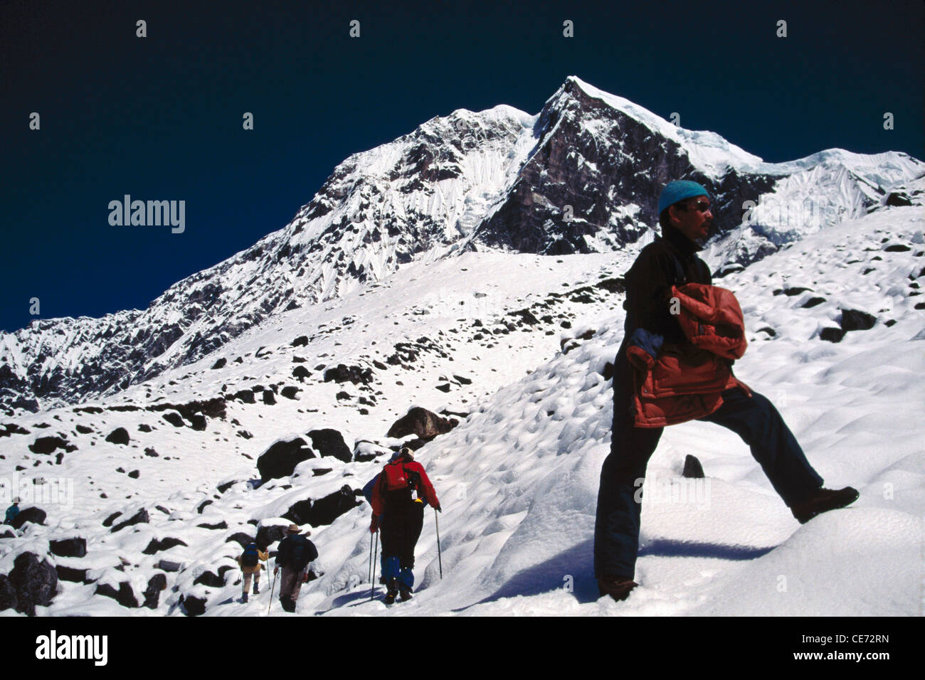 AJI 82678 : Trekkers going towards goechala 5456 meter mount pandim visible 6691 meter ; Sikkim ; india Stock Photo