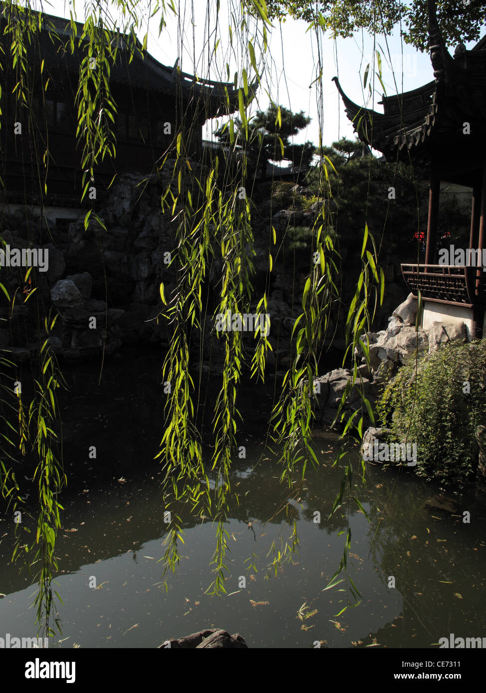 Willow leaves with hi-res stock photography and images - Alamy