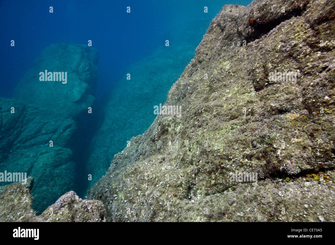 Underwater rock formation, Port-Cros island, France Stock Photo