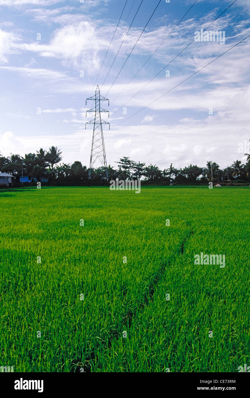 HMA 84464 Electrical lines and Transmission tower ; Alappuzha rice