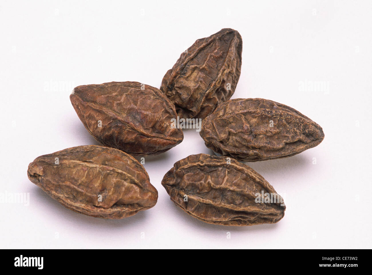 HMA 82037 : Harad ; Chebulic (Haritaki) (Terminalia chebula Retz) ; herbal Herb product ; Ayurvedic medicine Stock Photo