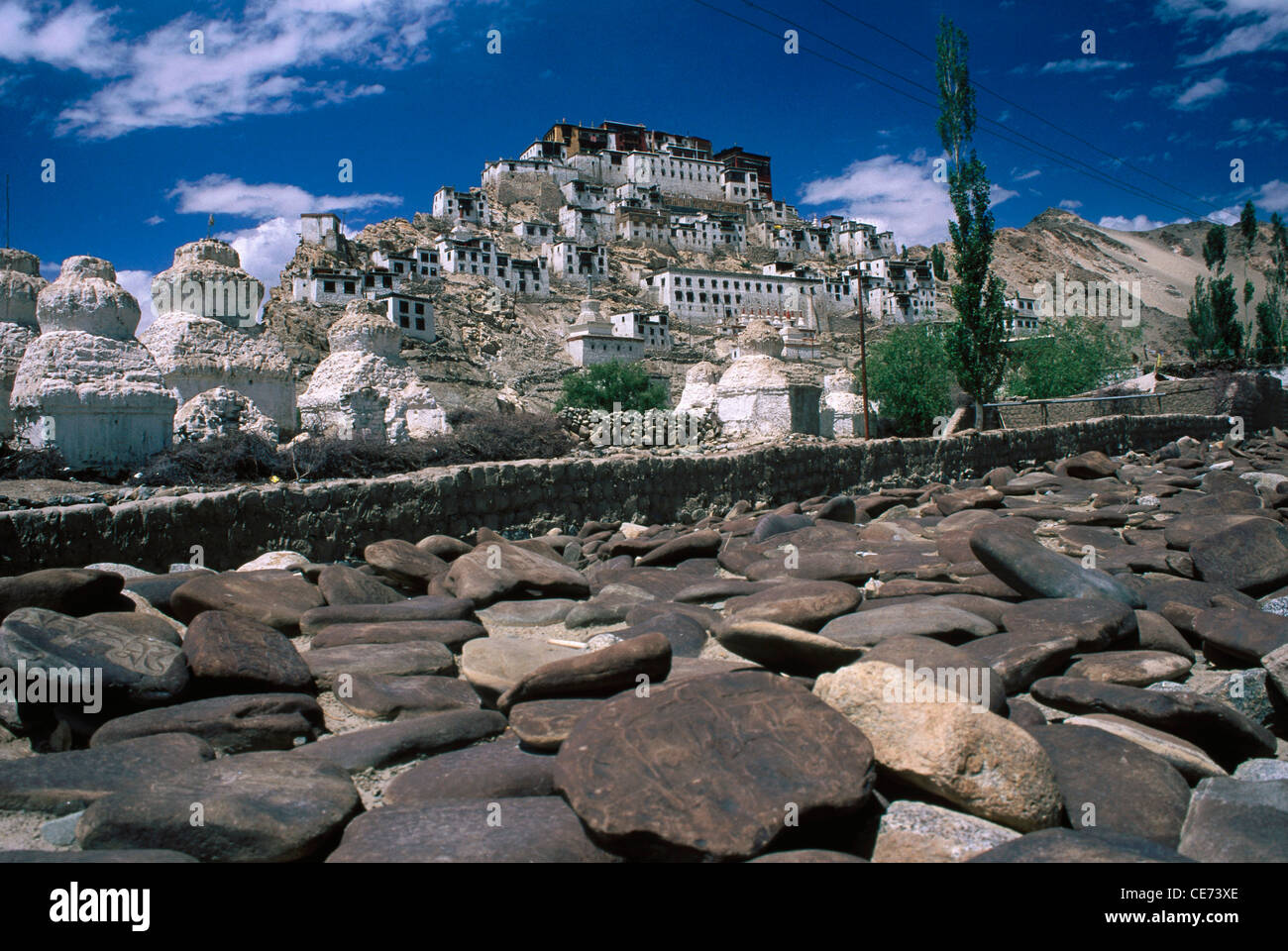 SOM 82773 : Thiksey monastery ; leh ; ladakh ; Jammu and Kashmir ; india Stock Photo