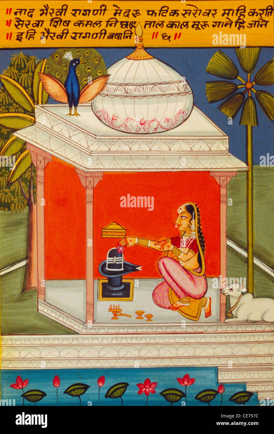 BDR 84606 : Miniature Painting Ragini Nad Bhairavi queen praying lord shiva temple cow lotus nathdwara school rajasthan india Stock Photo