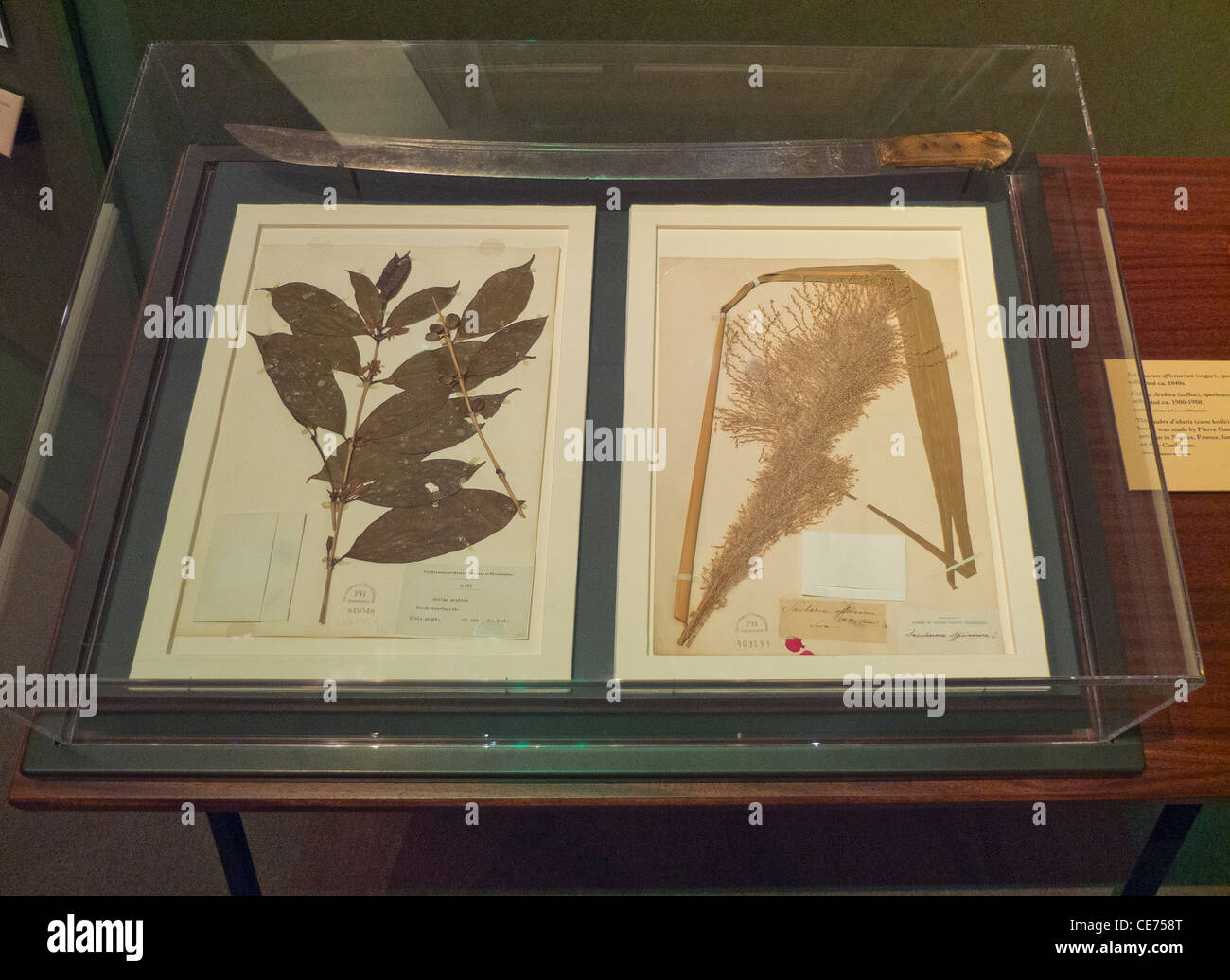New York Historical Society Stock Photo - Alamy