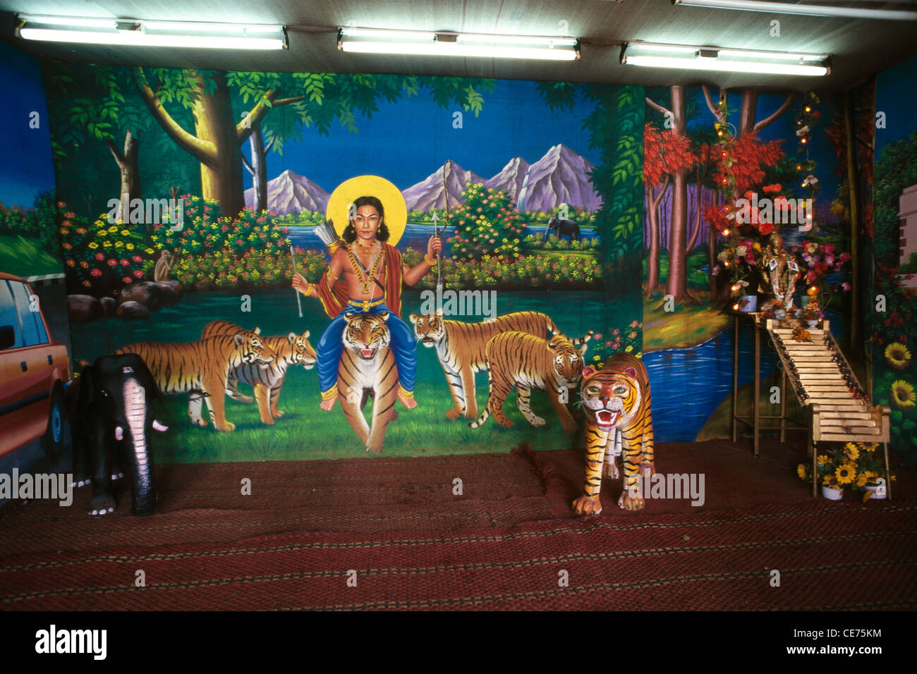 Indian photography studio backdrop of tiger God mountain at