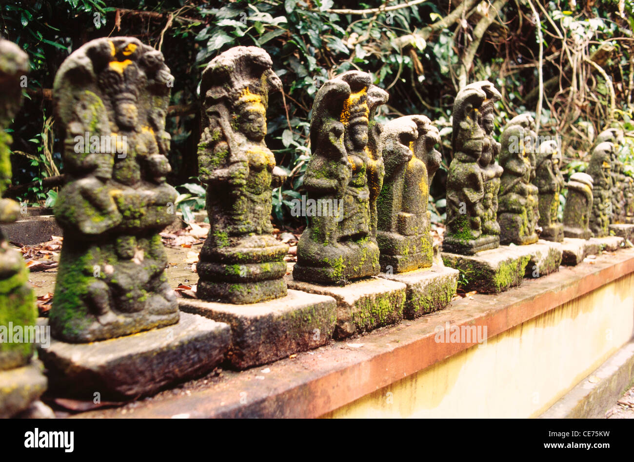 Mannarasala Sree Nagaraja Temple ; Statues of indian Gods Mannarisala temple haripad kerala india asia Stock Photo