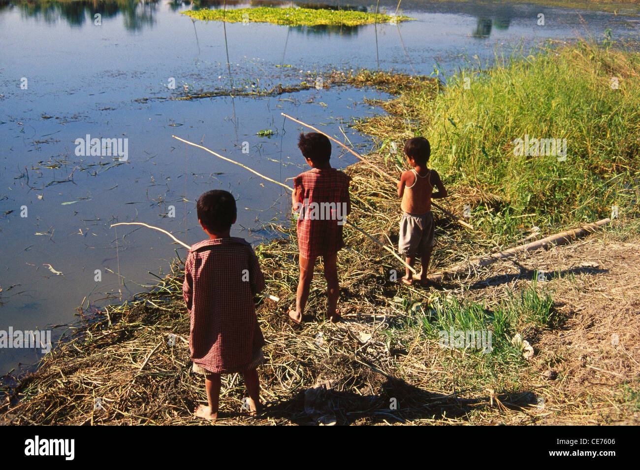Indian boys fishing ; majuli river ; Majoli river island ; assam ; india ; asia Stock Photo