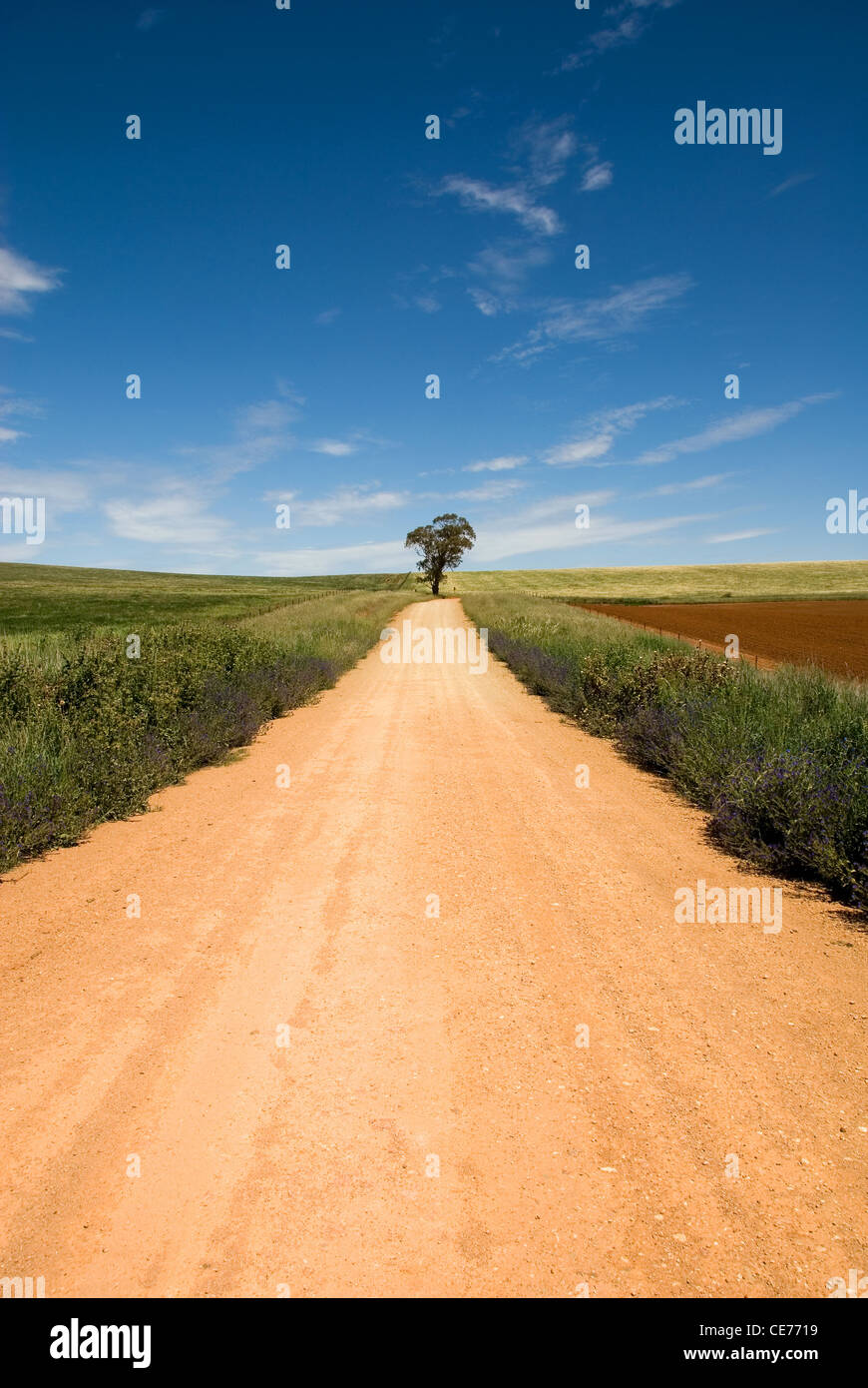 A lonely country track, near Cowra, in New South Wales, Australia Stock Photo