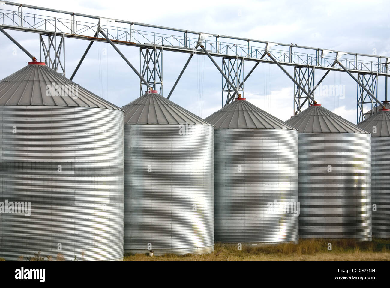 Grain silos on a farm in the Cowra area of New South Wales, Australia