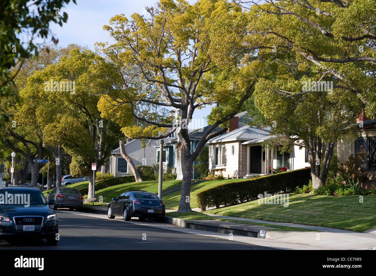 Residential street in Los Angeles, California Stock Photo