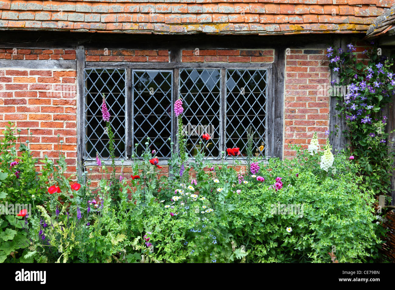 Detail of flower bed and lattice window of typical cottage in country near Chiddingstone , Kent , England Stock Photo
