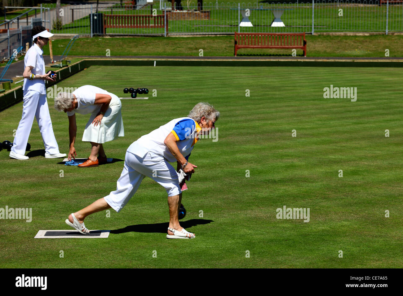 Lady bowling during a game of bowls , Southborough Common , Tunbridge Wells , Kent , England Stock Photo
