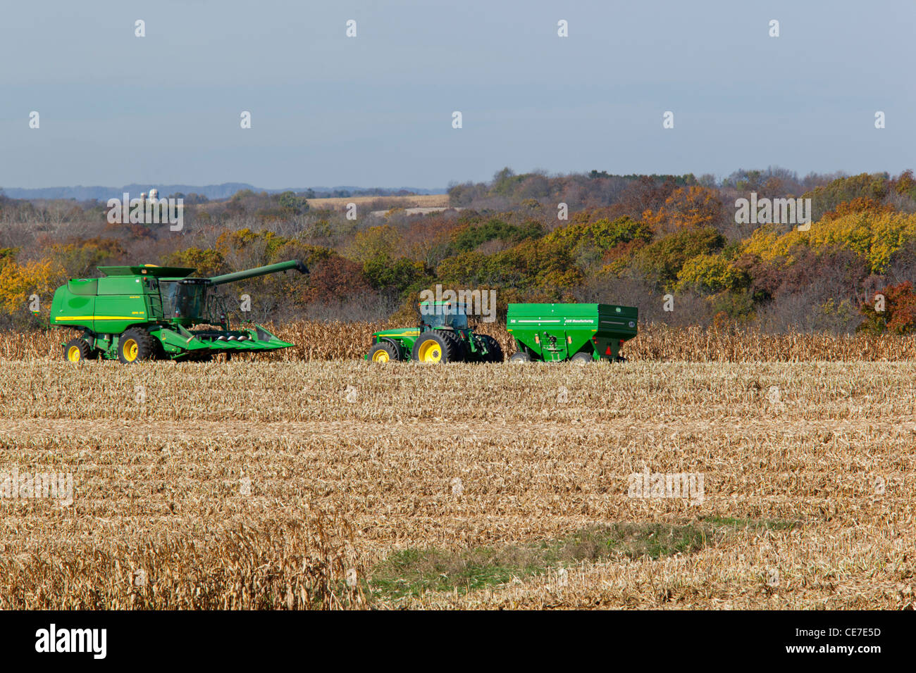 IA, Clayton County, Corn harvest Stock Photo Alamy