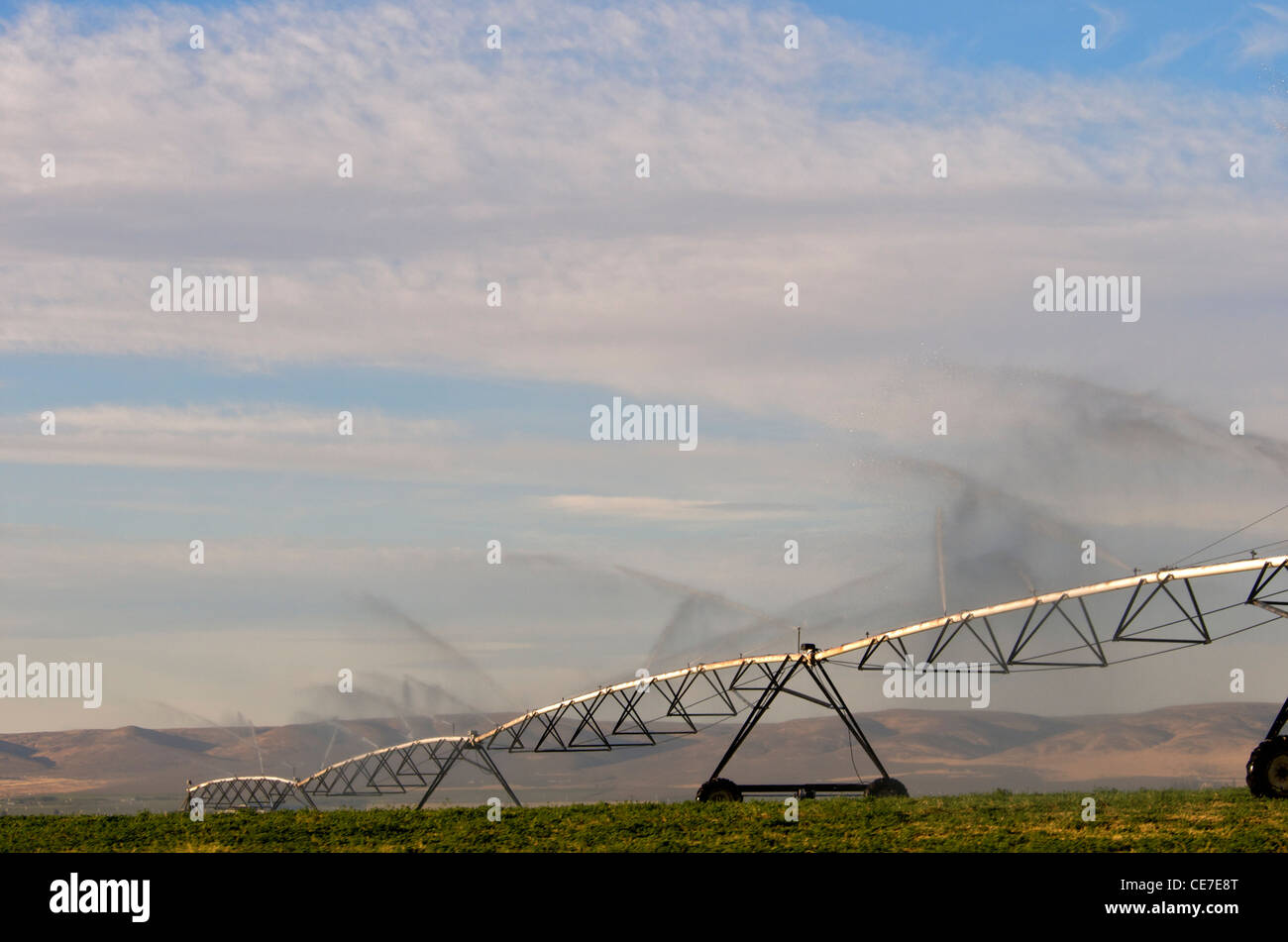 Agriculture Irrigation Stock Photo