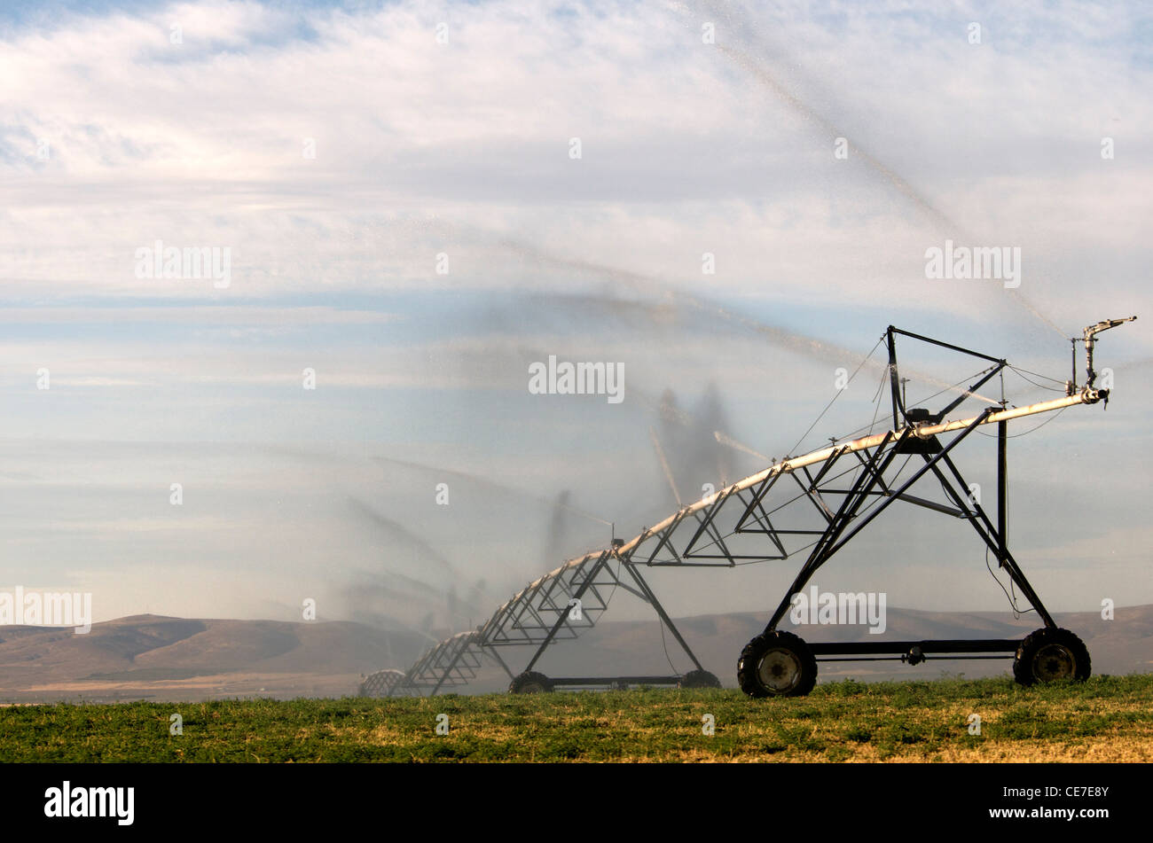 Agriculture Irrigation with large sprinkler spraying water into the sky Stock Photo