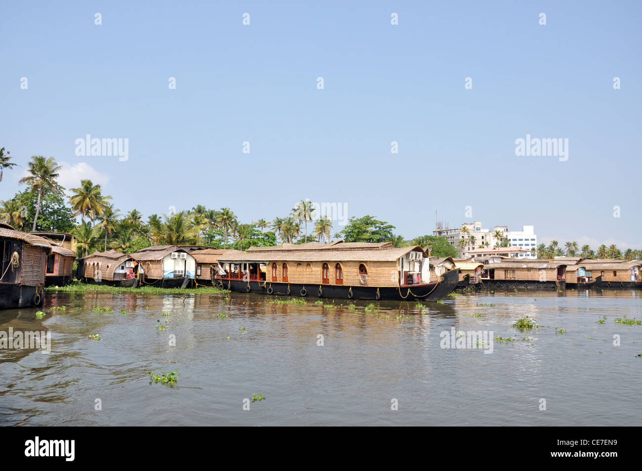A group of houseboats in backwaters in Alapuzha, kerala Stock Photo