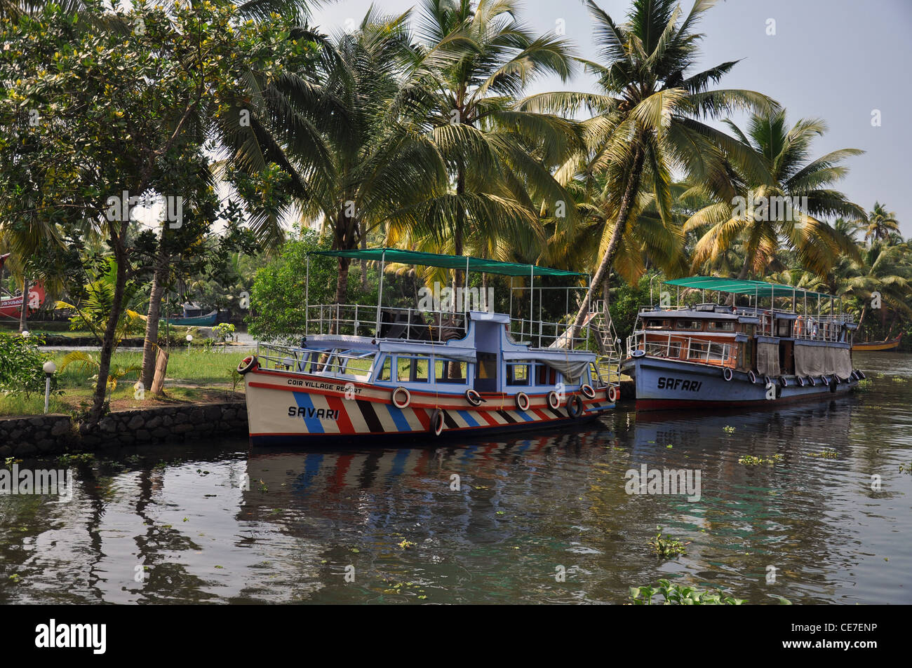 boats parked in  the backwaters in Alapuzha, kerala India Stock Photo