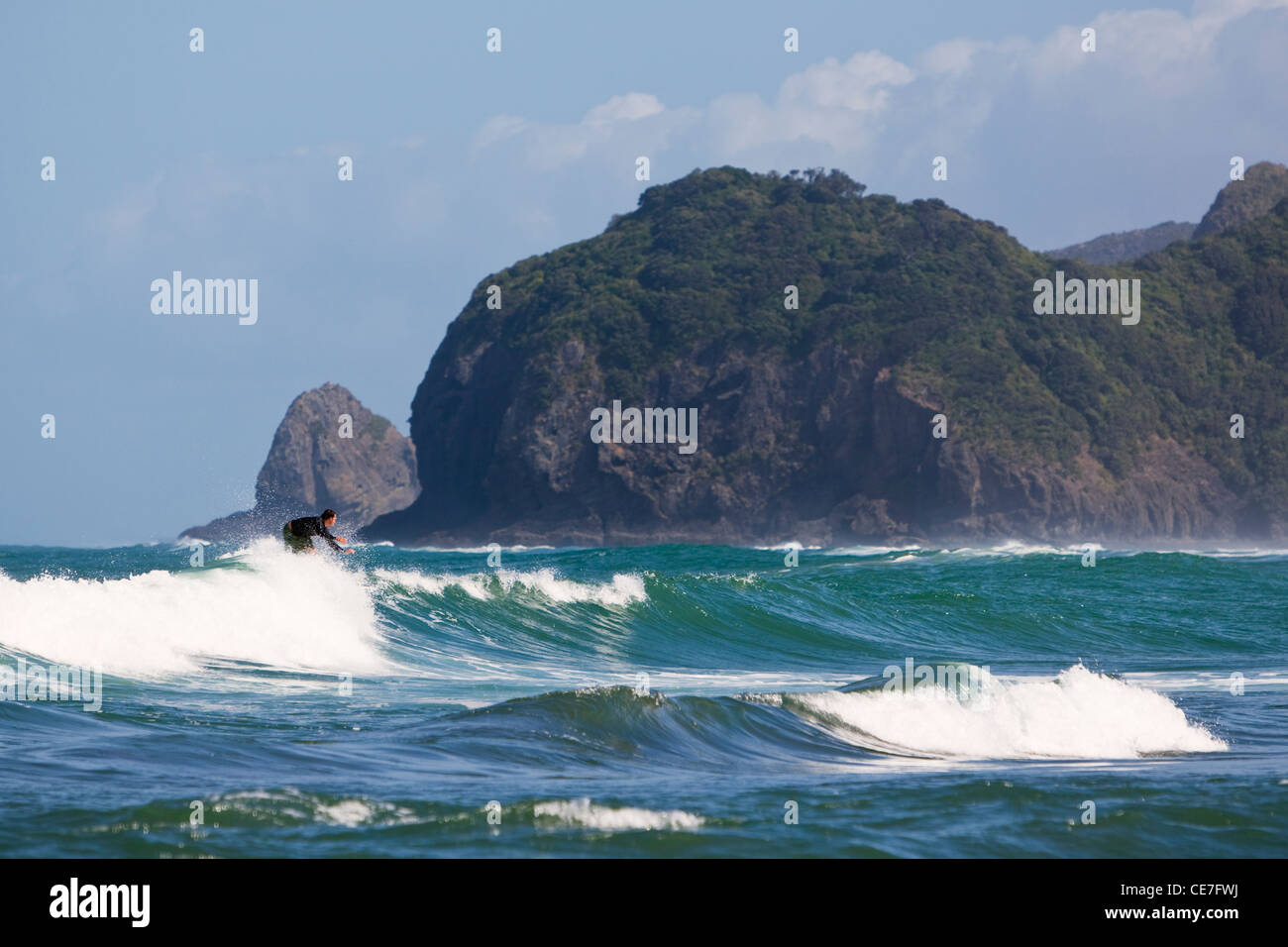 Surfer catching a wave.  Piha, Waitakere Ranges Regional Park, Auckland, North Island, New Zealand Stock Photo