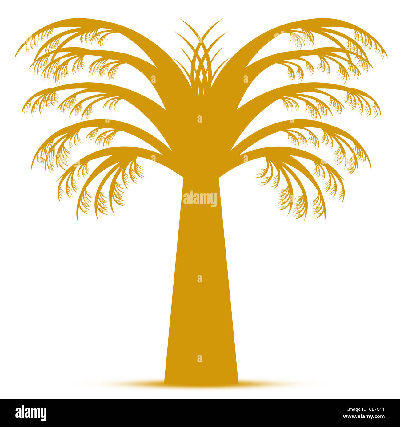Abstract palm tree isolated on white background Stock Photo - Alamy