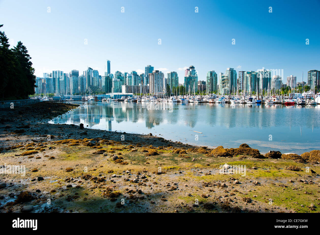 Coal Harbor in Vancouver, View from Stanley Park, Vancouver, BC, Canada 2011 Stock Photo