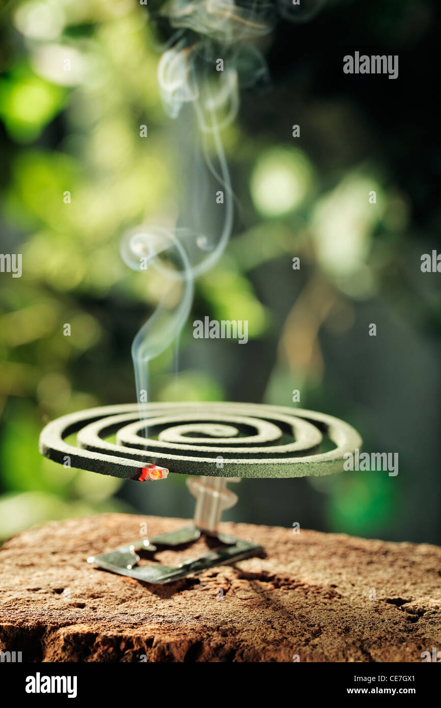 Insect repellent mosquito coil smoking Stock Photo Alamy
