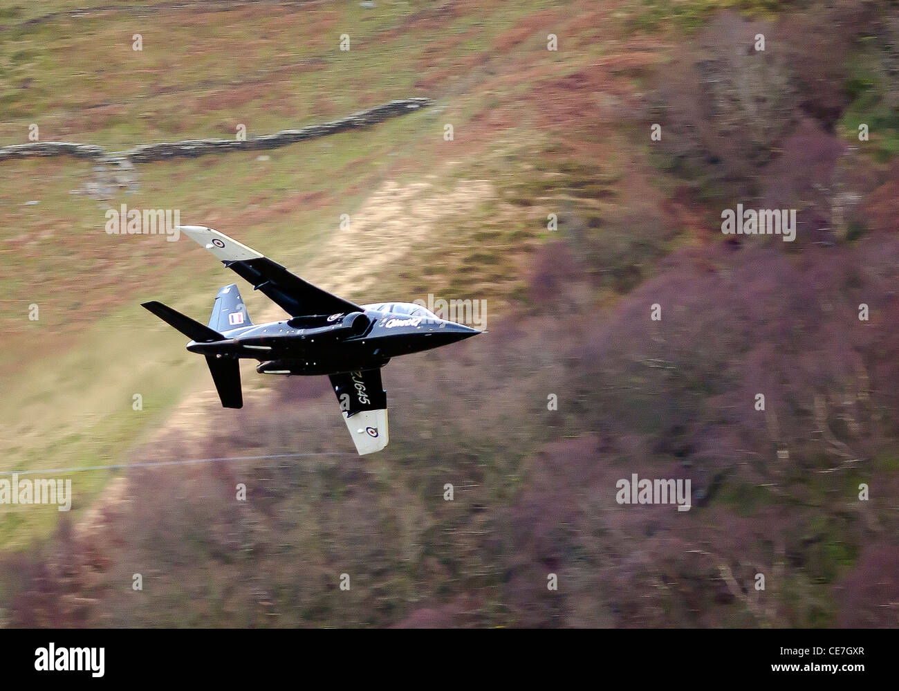 A Royal Air Force Dassault/Dornier Alpha Jet aircraft at low level on a low flying training flight over the hills of mid Wales Stock Photo