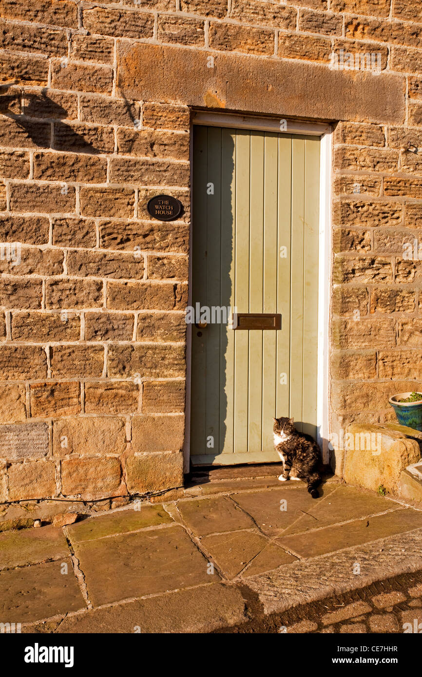 A cat sat on the doorstep Stock Photo