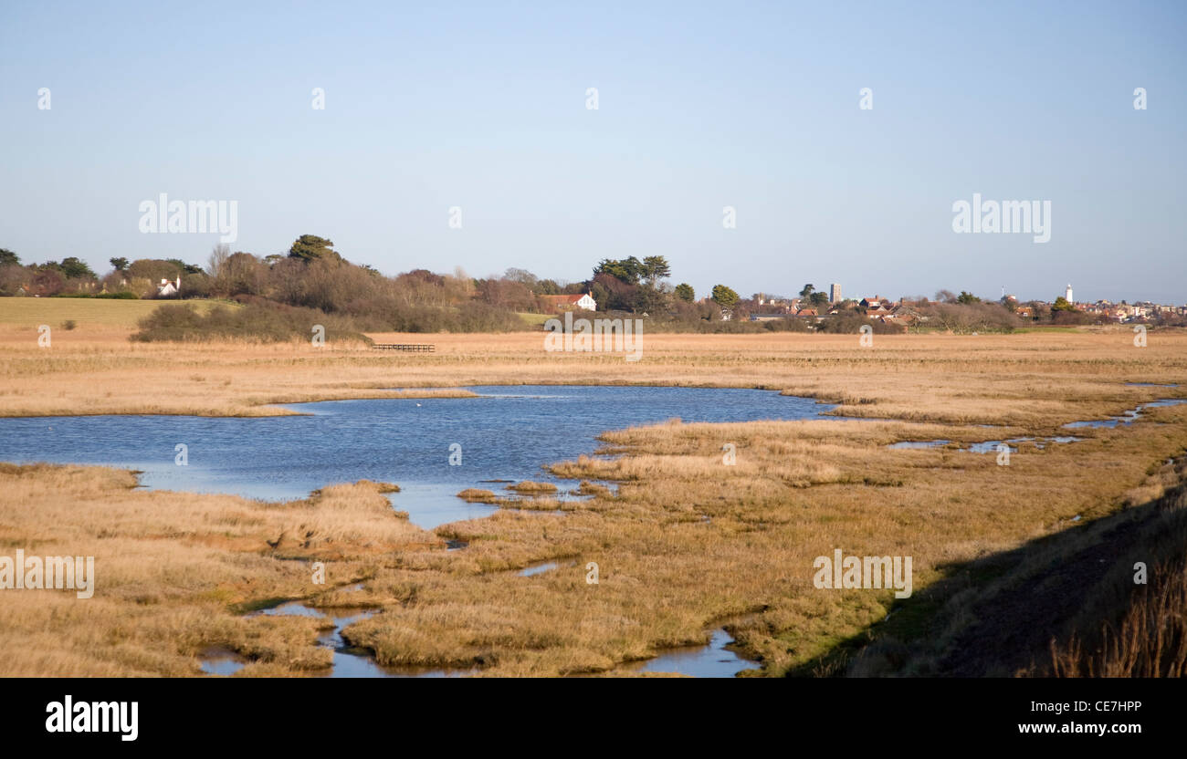 Freshwater Dingle marshes Walbersick, Suffolk, England Stock Photo