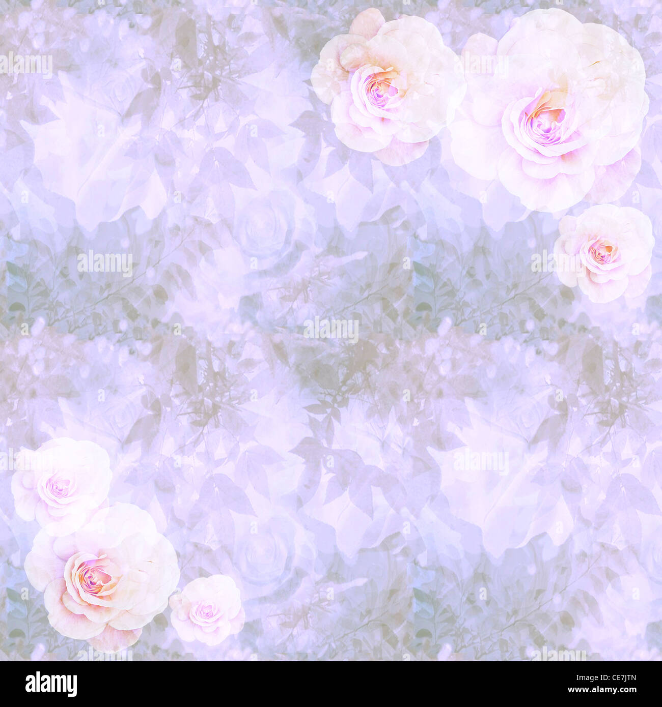 1950s Vintage Wallpaper Cabbage Rose Bouquet
