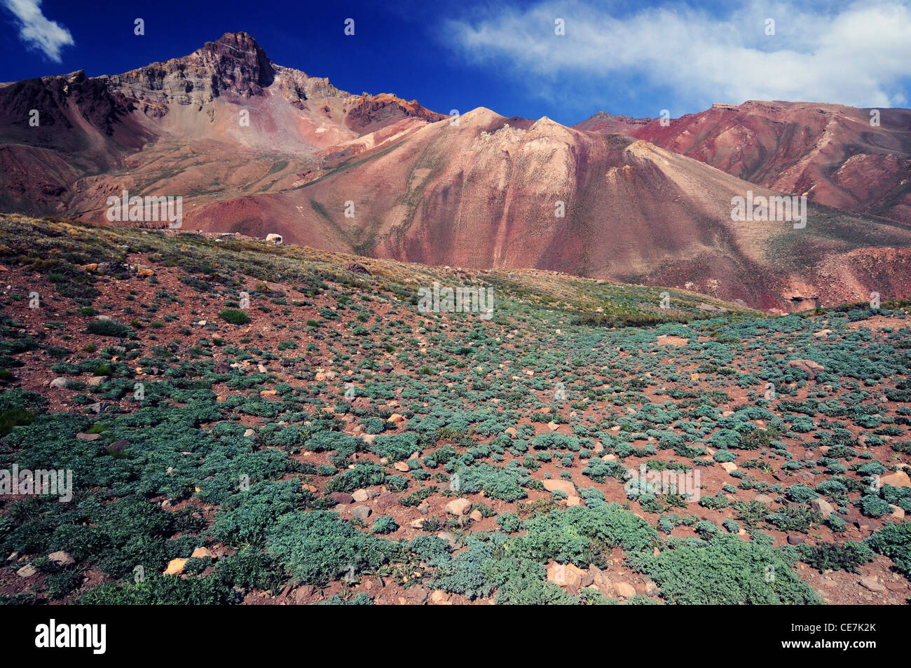 Surreal landscape colours, Parque Nacional Aconcagua, Mendoza, Argentina Stock Photo