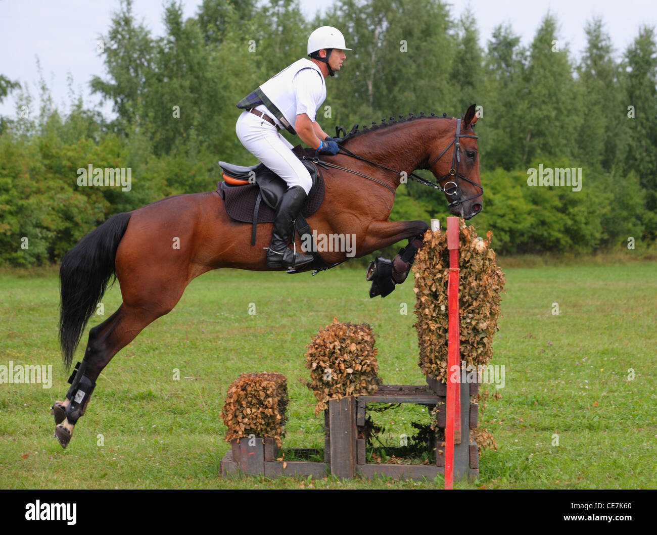 Horse and rider jumping an obstacle at a three day Eventing Competition