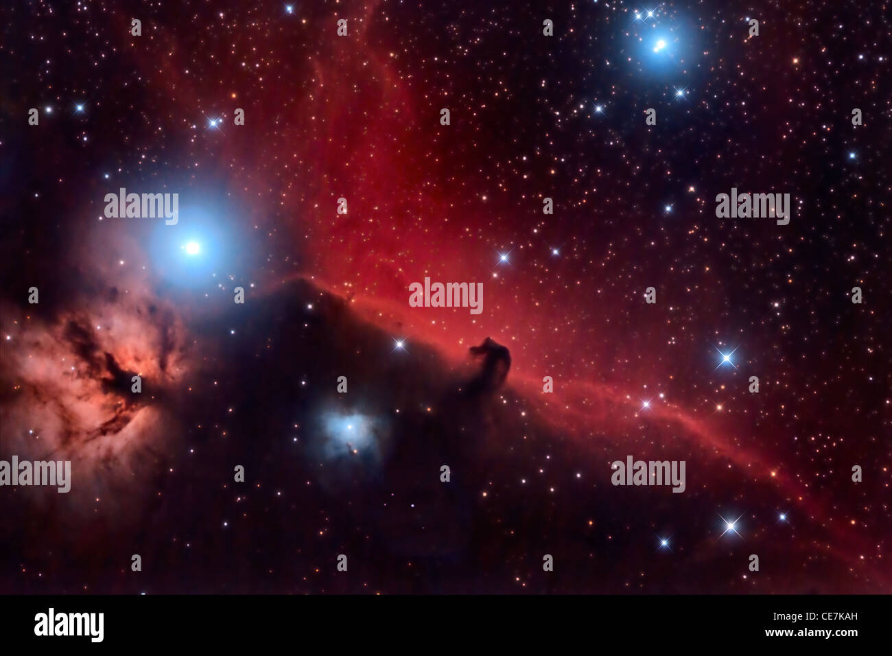 Horsehead Nebula and Flaming Tree in the Constellation Orion Stock Photo