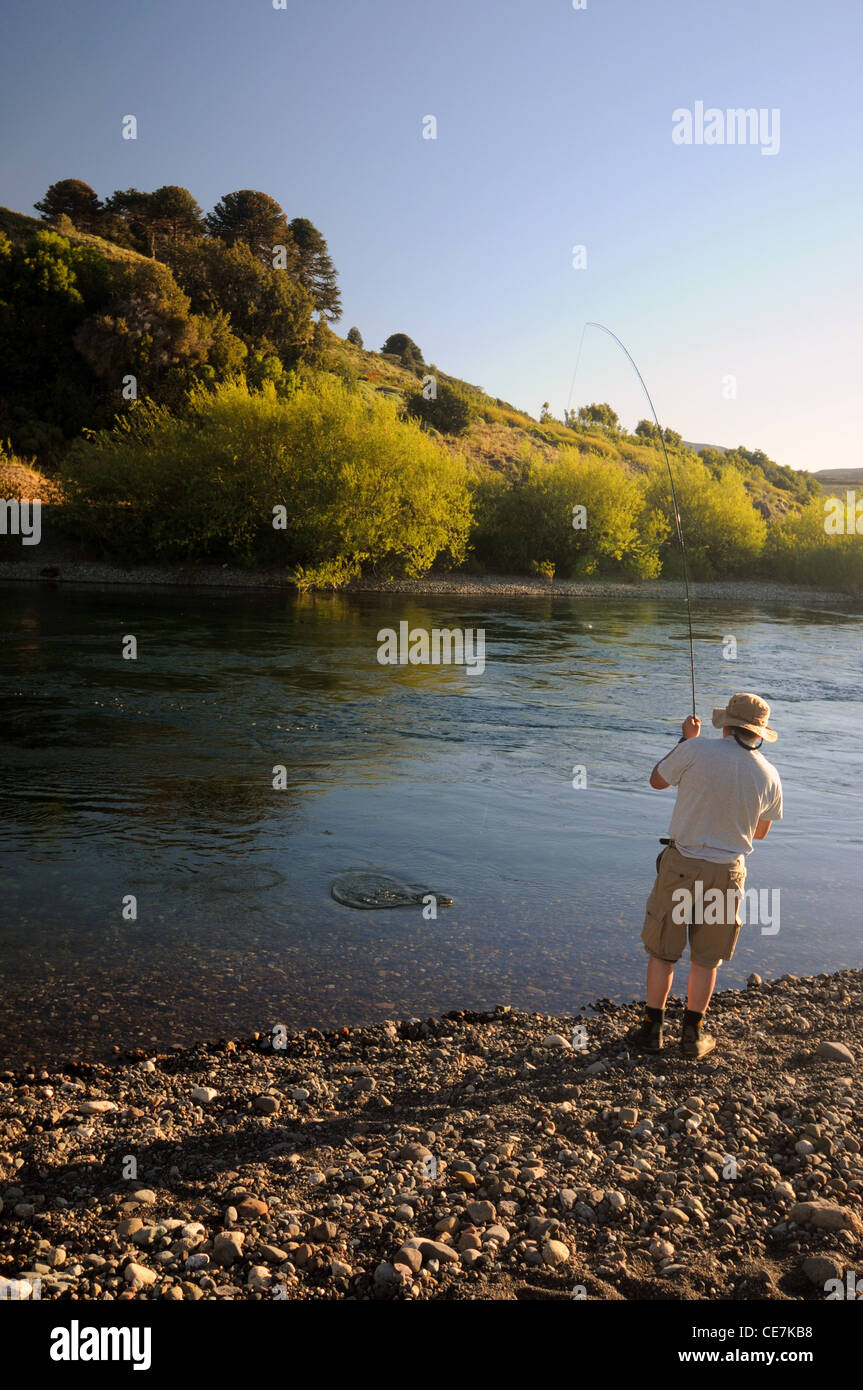 Fly fisherman bringing trout to shore, Junin los Andes region, Neuquen, Argentina. No MR Stock Photo